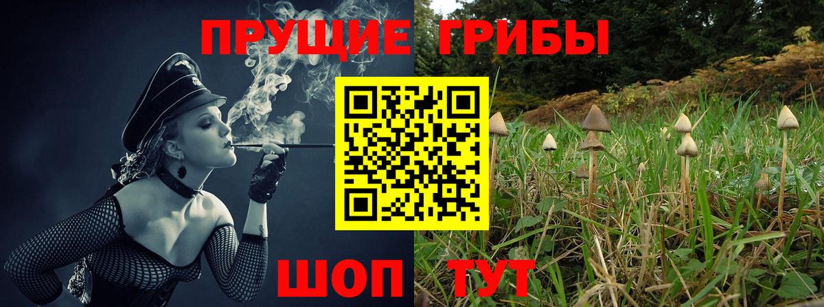 Псилоцибиновые грибы Magic Shrooms  Вход с VPN  Норильск 